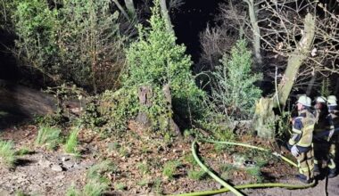 Waldbrand in Heisingen – Schwierige Löscharbeiten für die Feuerwehr