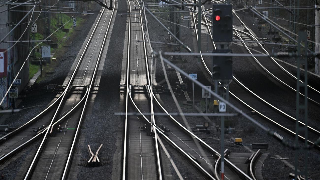 Bahn: Kuh legt Bahnverkehr rund um Duisburg lahm
