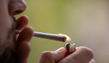 Bei Cannabis-Verstößen drohen bis zu 1.000 Euro Strafe