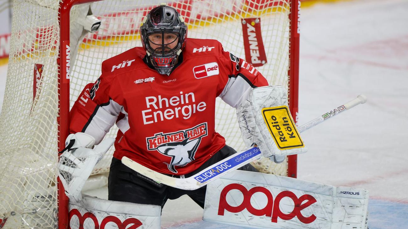 Eishockey: Köln fehlt noch ein Sieg zum Einzug ins DEL-Finale
