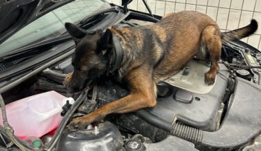Zoll entdeckt Crystal Meth bei Kontrolle auf der A8