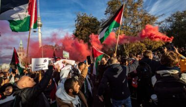 Verfassungswidrige Symbole bei Pro-Palästina-Demos – Festnahmen