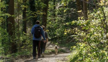 Wanderwege im Taunus, Odenwald und Co.