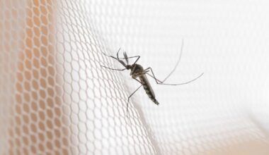 Interdisziplinäre Forschung zu neuen Insektiziden gegen Malariaüberträger – News – Deutsches Ärzteblatt