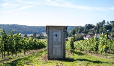 Toilettenhygiene: Wasser oder Wischen: Was der Po wirklich braucht
