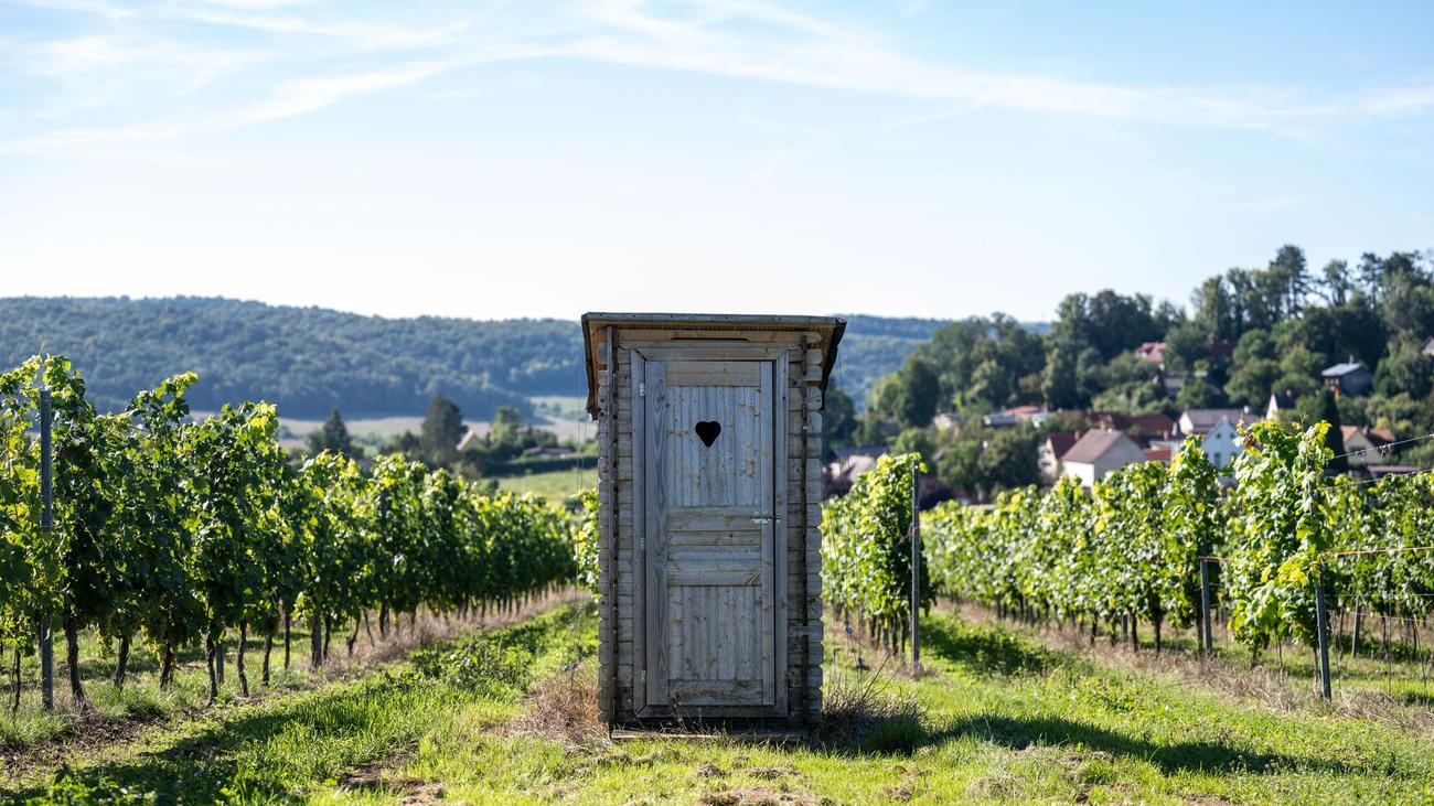 Toilettenhygiene: Wasser oder Wischen: Was der Po wirklich braucht