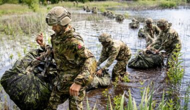 Dänemark will Soldaten zu Training entsenden