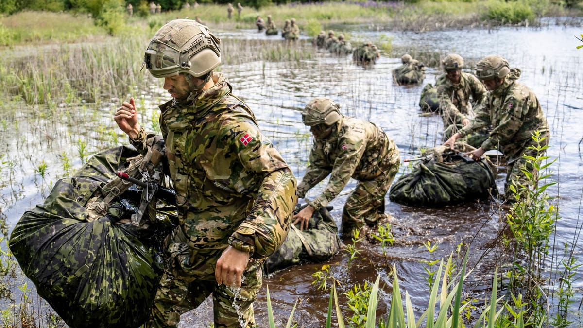 Dänemark will Soldaten zu Training entsenden