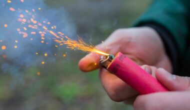 Jugendlicher wirft Böller auf Schülergruppe – mehrere Verletzte