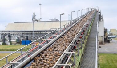 Energiekosten: Erzeugerpreise in Deutschland sinken überraschend