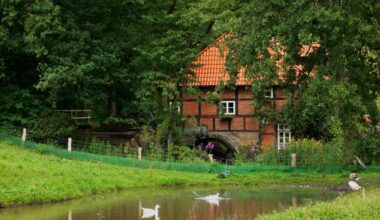 Heiligenberg an der B6 – Wandern und Erlebnispfad