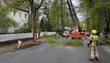 BVG-Linienbus fährt in Auto – Feuerwehr muss Baum und Laterne entfernen