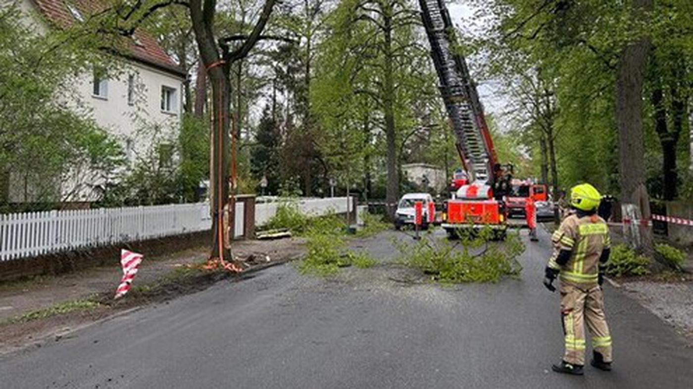 BVG-Linienbus fährt in Auto – Feuerwehr muss Baum und Laterne entfernen