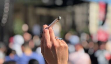Seit der Legalisierung: Deutlich weniger Cannabis-Straftaten in Berlin