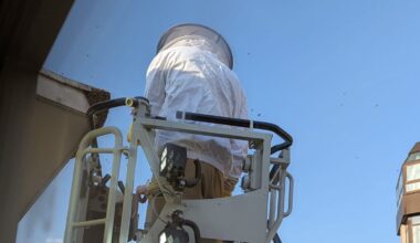 Kölner Hauptbahnhof: Bienen verursachen Feuerwehr-Einsatz
