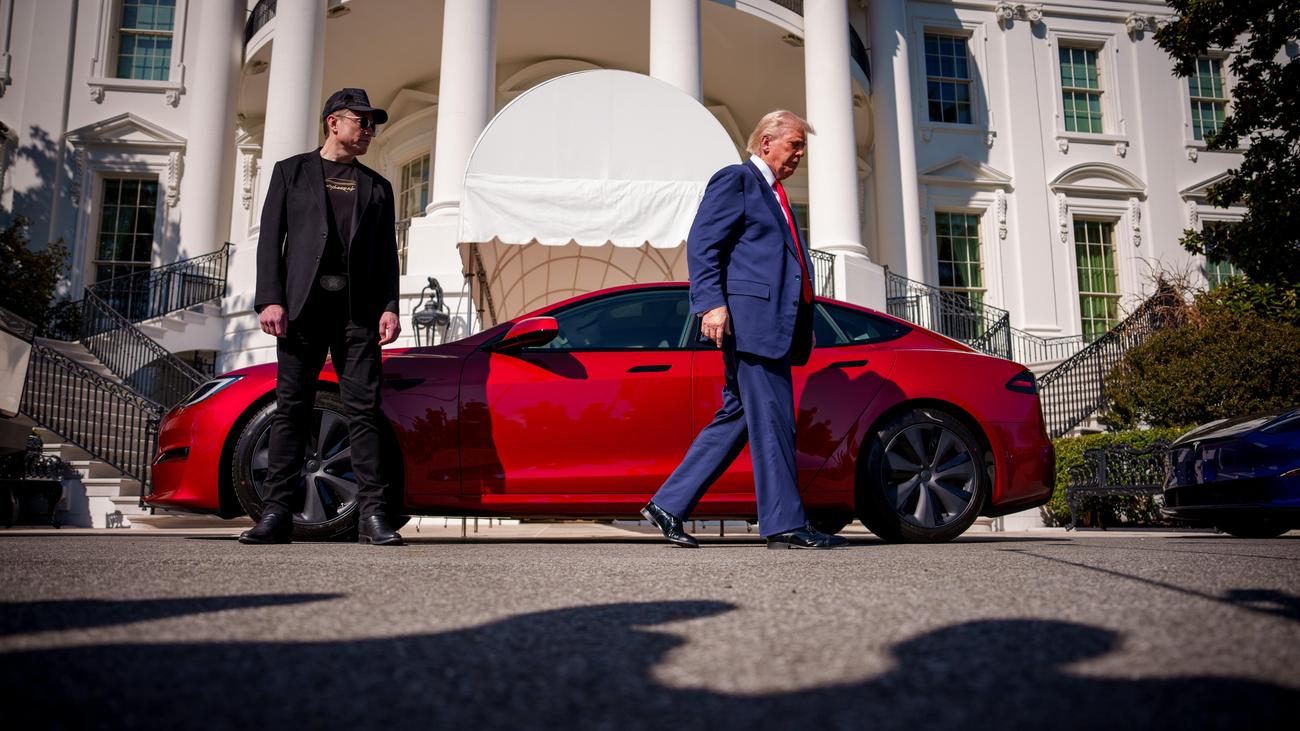 US-Präsident: Spekulationen um möglichen Rückzug von Musk als Präsidentenberater