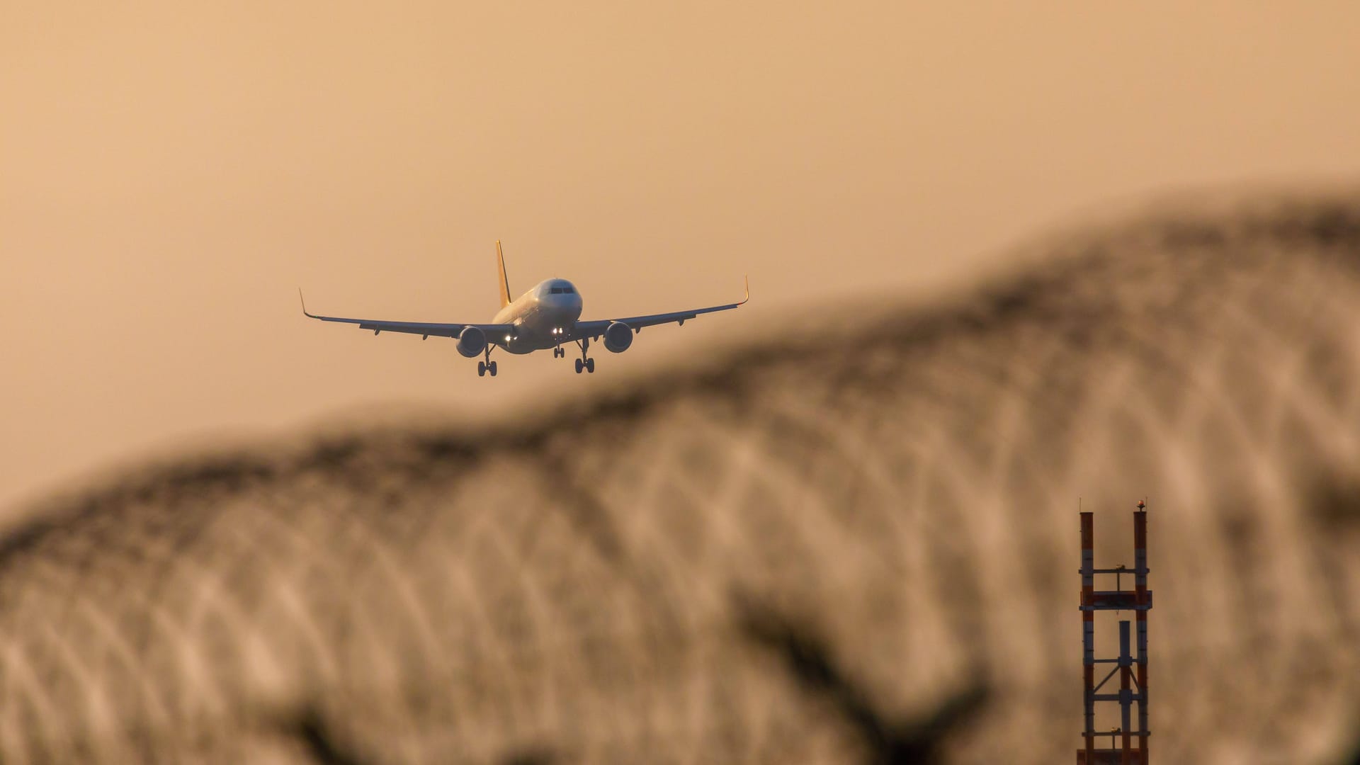 Flugzeug im Landeanflug (Symbolbild): Ein Flieger musste in Berlin notlanden nach einem aggressiven Vorfall an Bord.