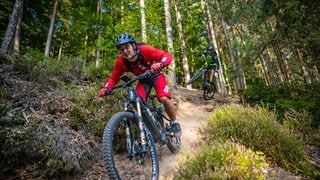 Der Mounntainbike Pfälzerwald feiert 20-Jähriges Jubiläum.