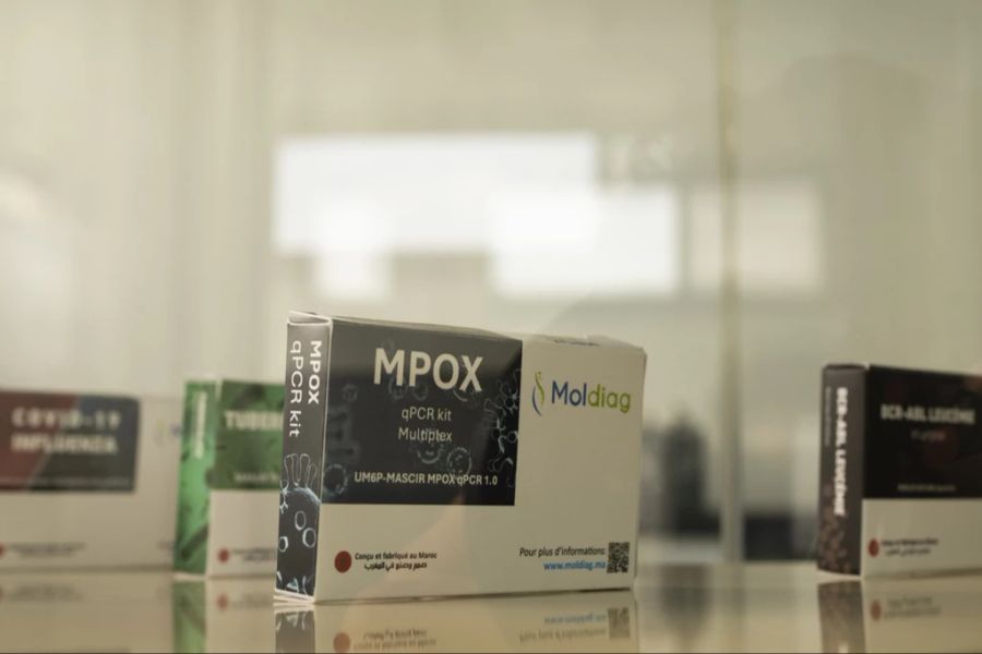 mpox fälle berlin