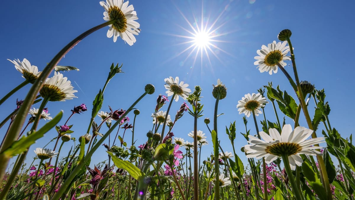 Sonniges Wetter und bis zu 25 Grad am 1. Mai