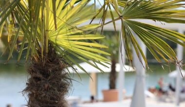 Sommerliches Wetter – Temperaturen steigen auf fast 30 Grad