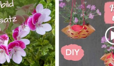Mit Bewegtbild den Geranienabsatz steigern: Pelargonium for Europe bietet kostenlose ...