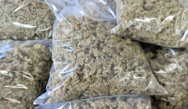 Polizei entdeckt über zehn Kilo Drogen bei Festnahmen
