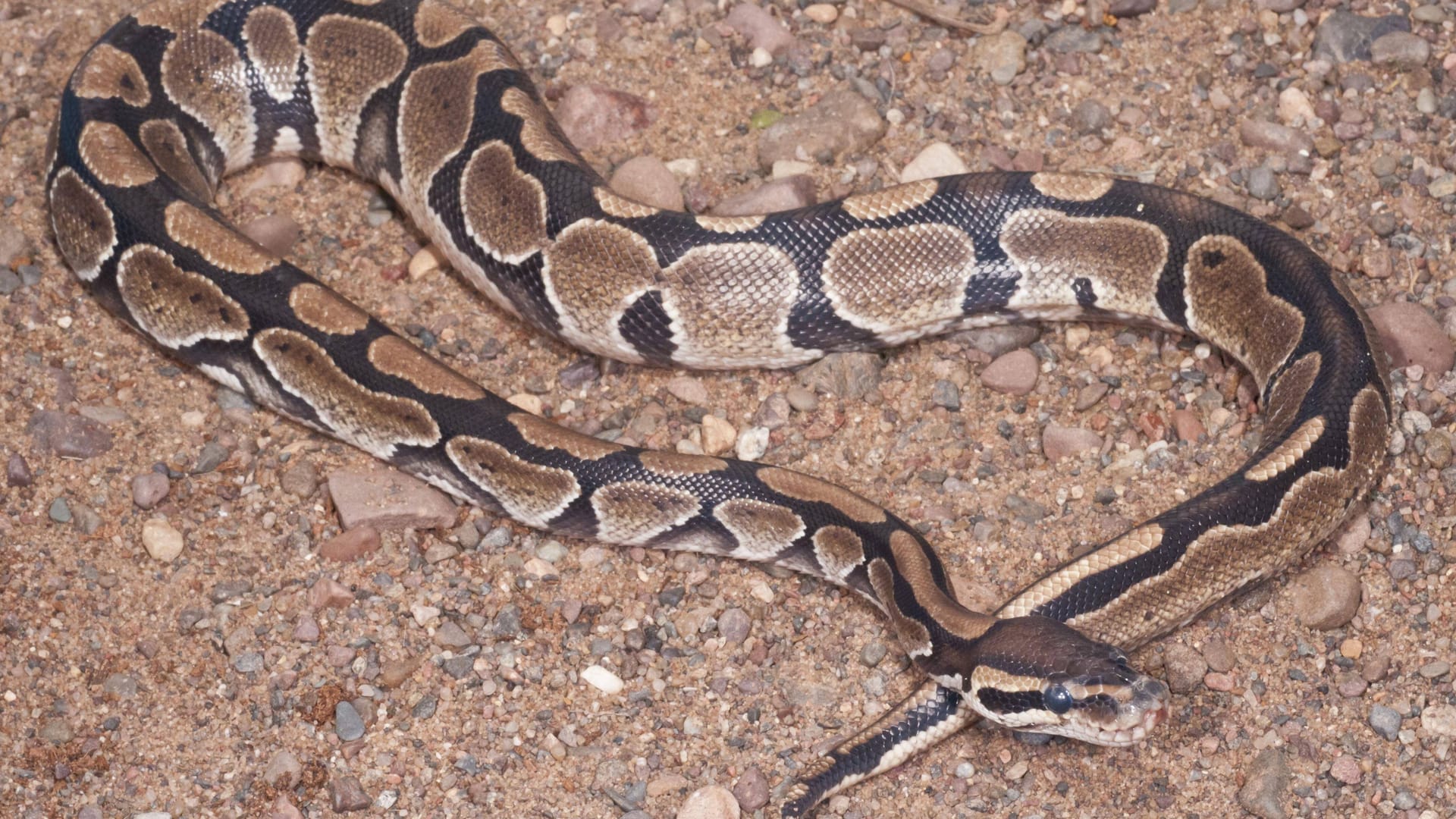 imago images 196580009
