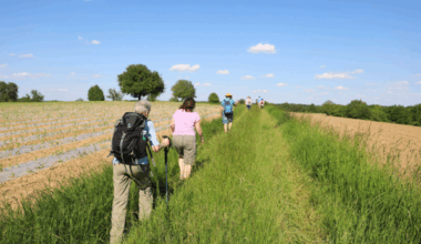 Ob sportlich, achtsam oder wissenswert: Das Wanderopening der AugenBlick-Runde Karlsruhe Rittnert am 18. Mai bietet für jeden etwas – inklusive einer ganz besonderen Turmbesteigung, KTG Karlsruhe Tourismus GmbH, Story