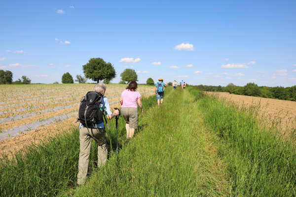 Ob sportlich, achtsam oder wissenswert: Das Wanderopening der AugenBlick-Runde Karlsruhe Rittnert am 18. Mai bietet für jeden etwas – inklusive einer ganz besonderen Turmbesteigung, KTG Karlsruhe Tourismus GmbH, Story