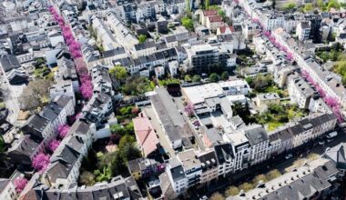 Blütezeit in Bonn: Stadt mit rosafarbenen Straßen - Klaro!