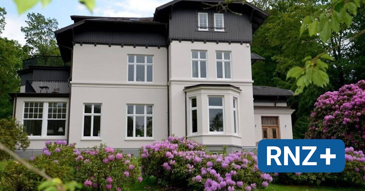 Mannheim: Stadt vergibt wieder Stipendium im Gedenken an Roger Willemsen - Mannheim und Metropolregion Rhein-Neckar - Nachrichten und Aktuelles