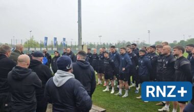SV Waldhof Mannheim: Die Cityboys85 schwören die Buwe ein - Sport aus der Region - Nachrichten und Aktuelles