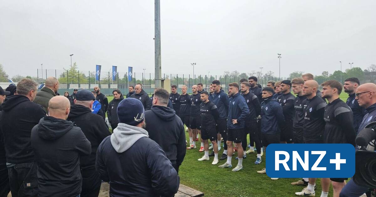 SV Waldhof Mannheim: Die Cityboys85 schwören die Buwe ein - Sport aus der Region - Nachrichten und Aktuelles