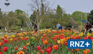 Mannheim: Blütenpracht zum Osterfest im Luisenpark - Mannheim und Metropolregion Rhein-Neckar - Nachrichten und Aktuelles