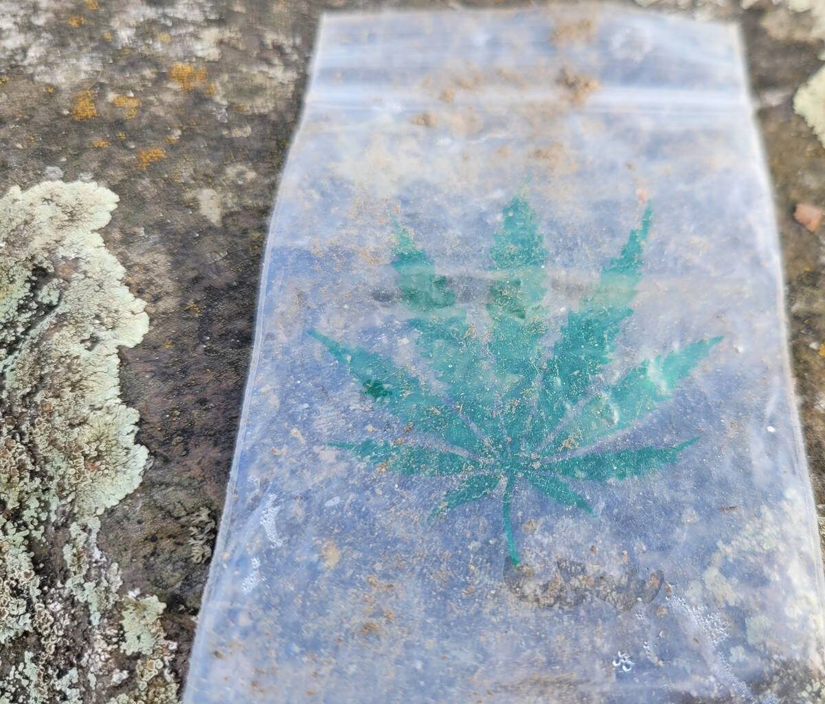 Prozess - 100 kg Marihuana geschmuggelt