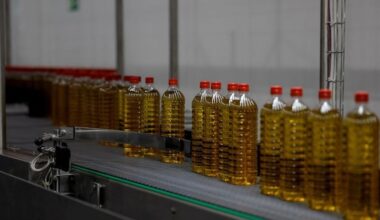 Spanische Olivenölhersteller erwägen US-Investitionen und überstürzen Exporte, um Zölle zu vermeiden