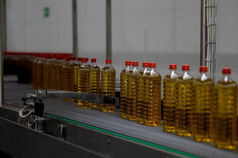 Spanische Olivenölhersteller erwägen US-Investitionen und überstürzen Exporte, um Zölle zu vermeiden