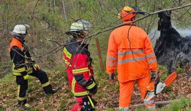 Knapp am Waldbrand vorbeigeschrammt: Einsatz in Königswinter