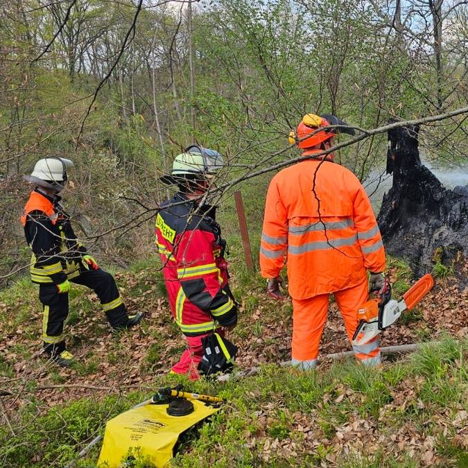 Knapp am Waldbrand vorbeigeschrammt: Einsatz in Königswinter