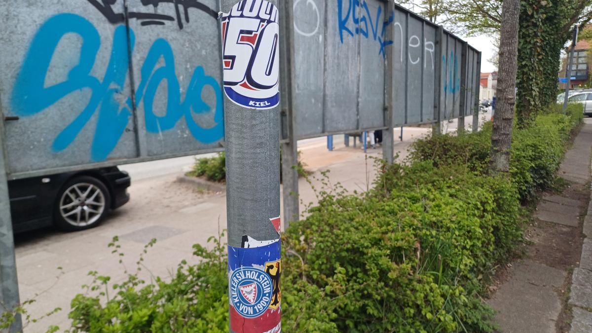 Klebrige Fan-Liebe Holstein Kiel: Der Auftritt ist erstligareif