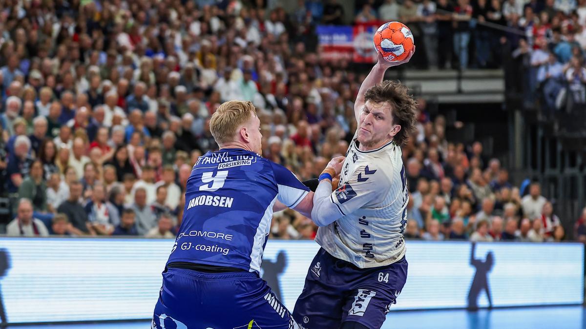 Final Four in Hamburg: SG Flensburg-Handewitt ist dabei