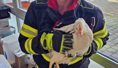 FW-M: Eingezwicktes Hühnchen (Giesing) | Presseportal