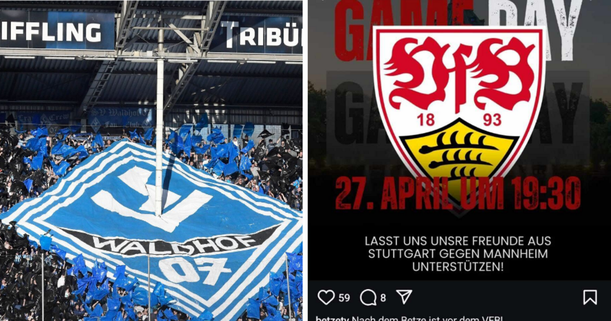 SV Waldhof Mannheim: Wird Heimbereich beim Abstiegsgipfel komplett belegt sein? - Sport aus der Region - Nachrichten und Aktuelles