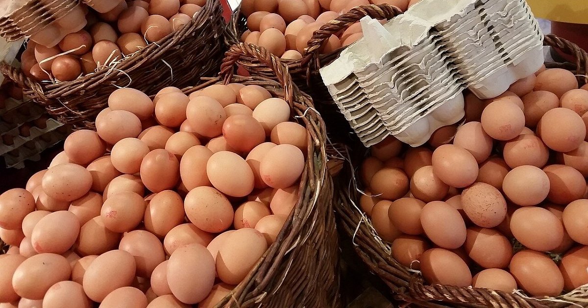 Ostereier in Bielefeld knapp: Engpässe bei Bio-Eiern vor den Feiertagen
