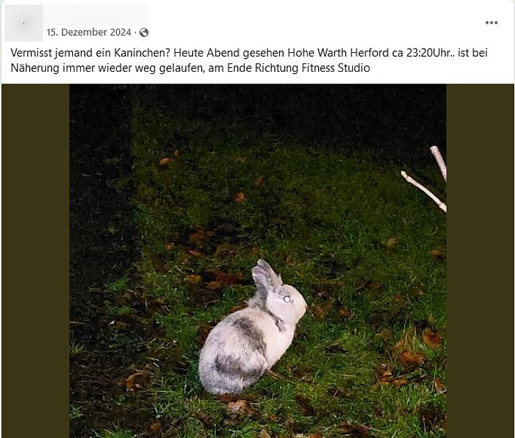 Auf Facebook kursieren Bilder, die ein Kaninchen bereits Mitte Dezember rund um das Herforder 