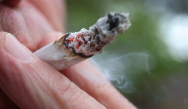 Drogen-Dealer aus Borgholzhausen am Bielefelder Kesselbrink festgenommen | Haller Kreisblatt