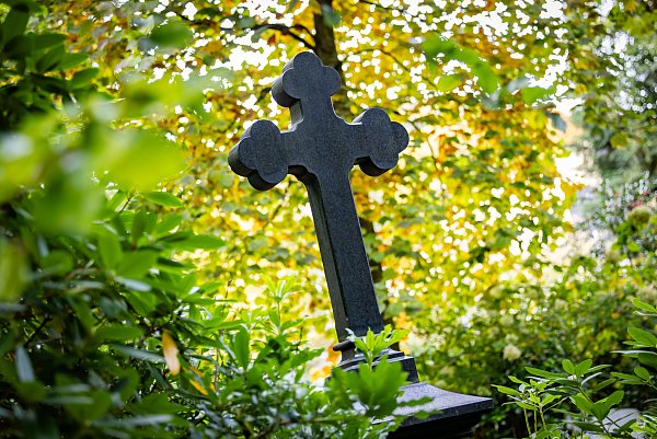 Am Samstag können Naturfreunde die Vogelwelt auf dem Johannisfriedhof beobachten. - © Sarah Jonek