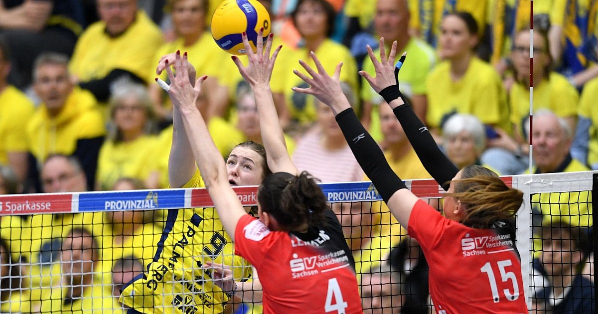 Schwerins Volleyballerinnen nach Sieg in Dresden fast durch | Sportnews