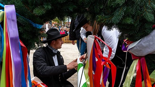In Hövelhof wird an diesem Wochenende der Maibaum im Schlossgarten aufgestellt. - © Verkehrsverein Hövelhof